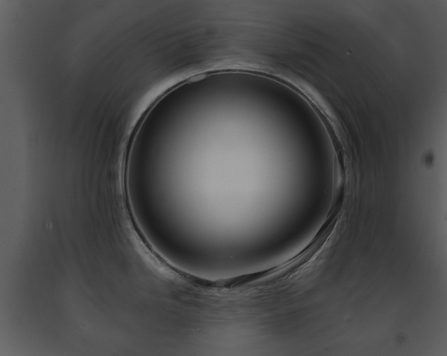 X0000091701246200708241216