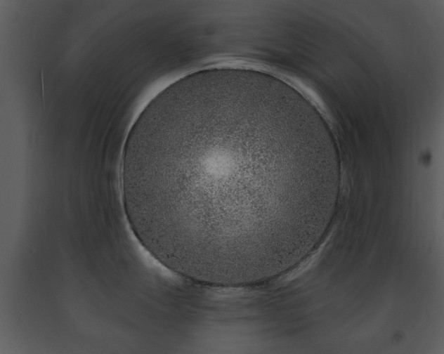 X0000091701247200708241216