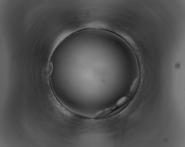 X0000091701248200708241216