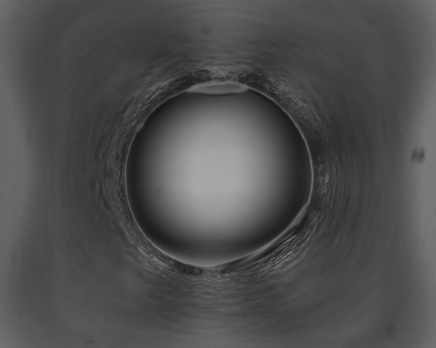 X0000091701249200708241215