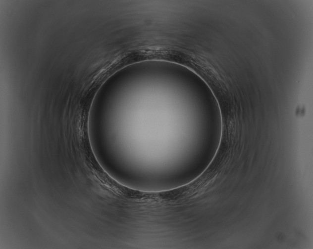 X0000091701250200708241215