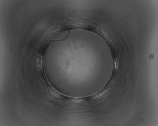 X0000091701251200708241215