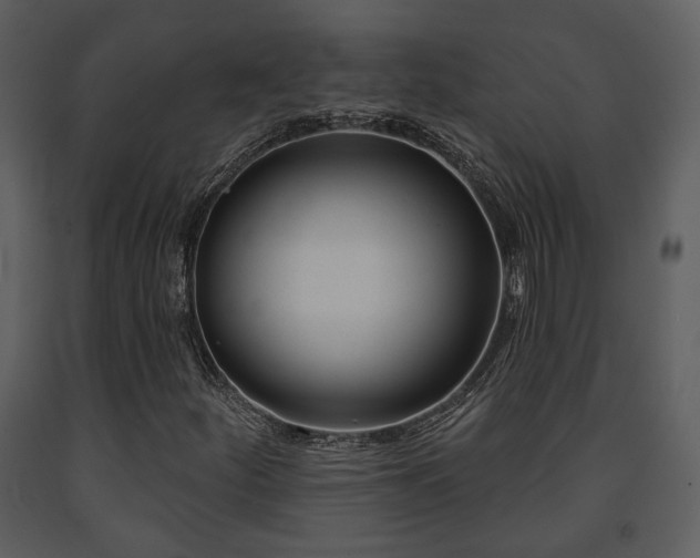 X0000091701252200708241215