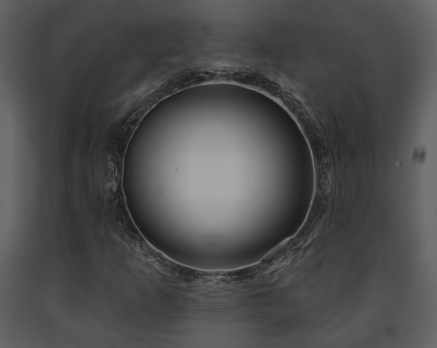 X0000091701253200708241215