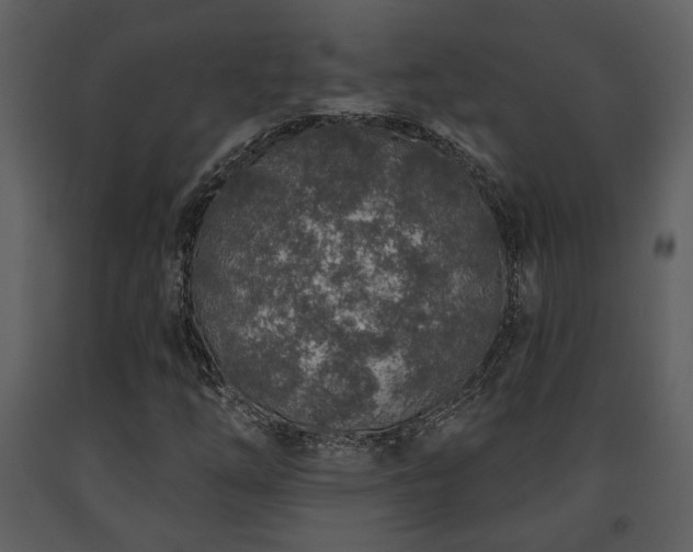 X0000091701254200708241215