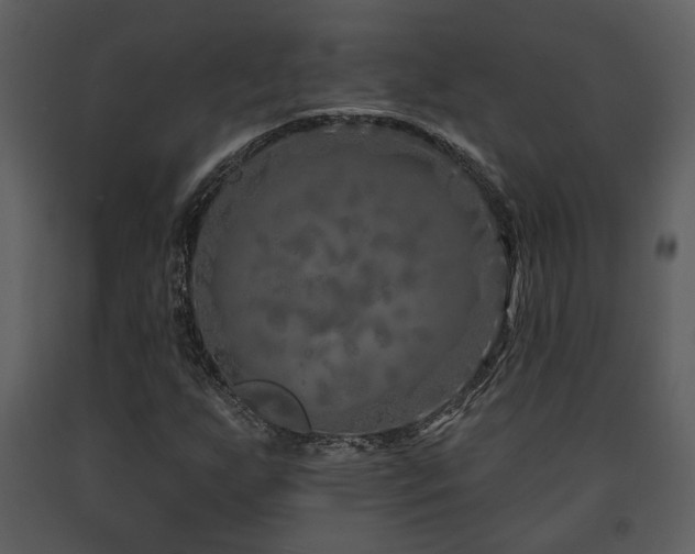 X0000091701255200708241215