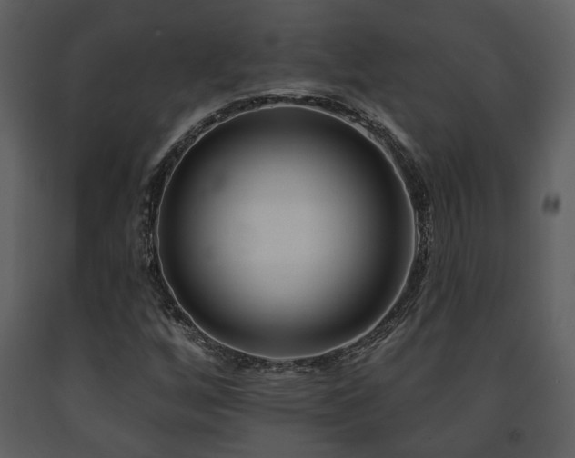X0000091701256200708241215