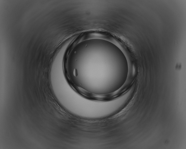 X0000091701257200708241215