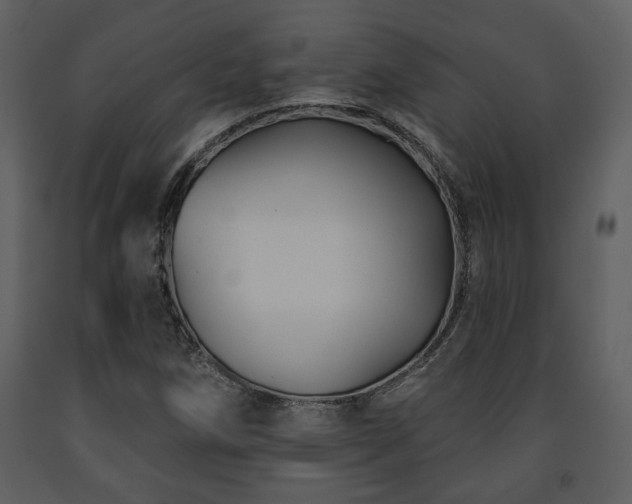 X0000091701258200708241215
