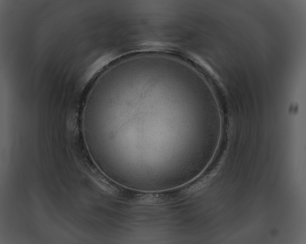 X0000091701259200708241215