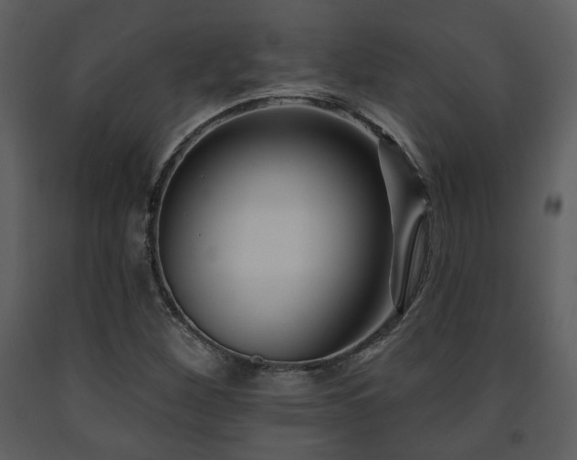 X0000091701260200708241215