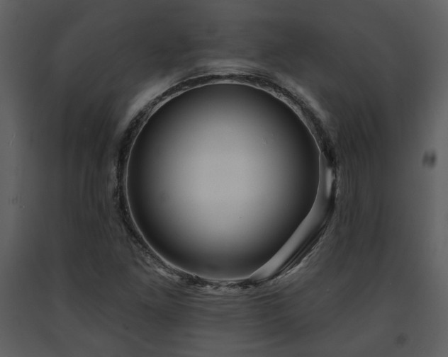 X0000091701261200708241215