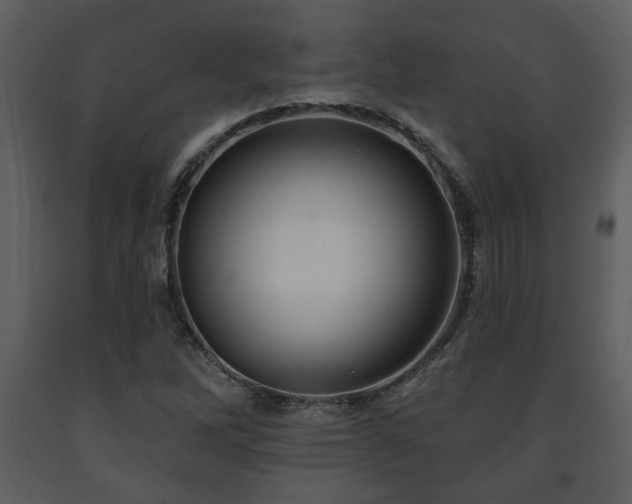 X0000091701262200708241215