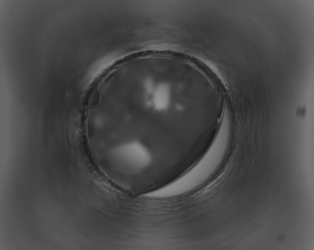 X0000091701263200708241215