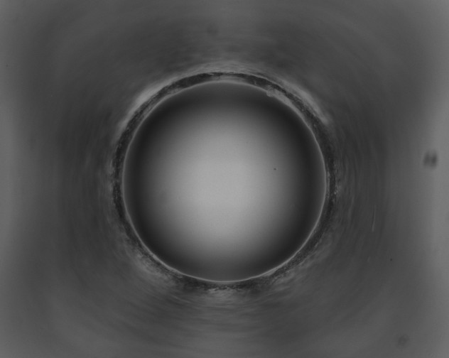 X0000091701264200708241215