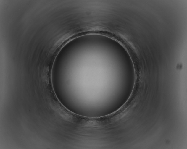 X0000091701265200708241215
