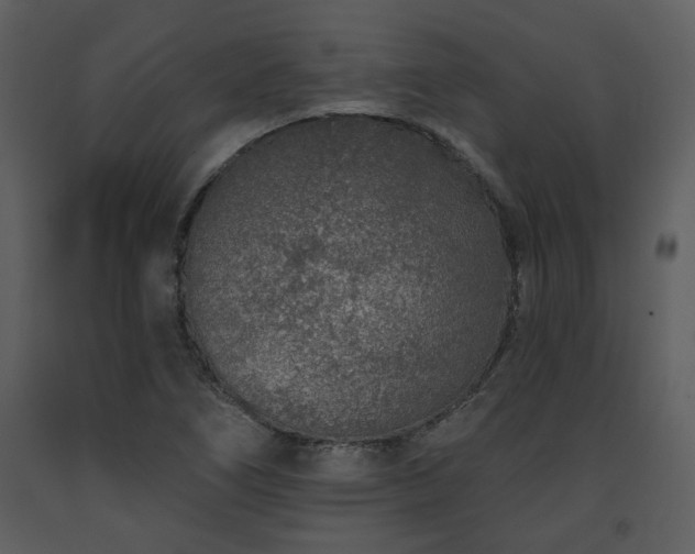 X0000091701266200708241215