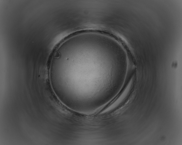 X0000091701267200708241215