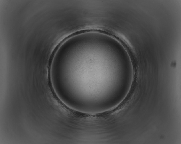 X0000091701268200708241215