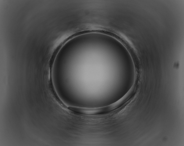 X0000091701269200708241215