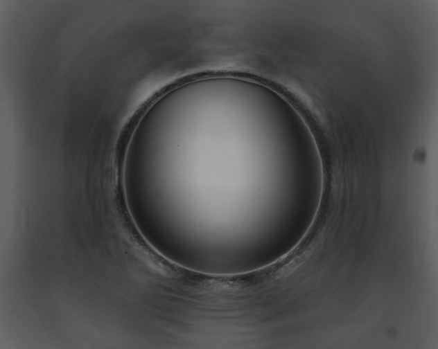 X0000091701270200708241215