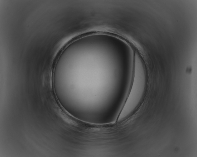 X0000091701272200708241215