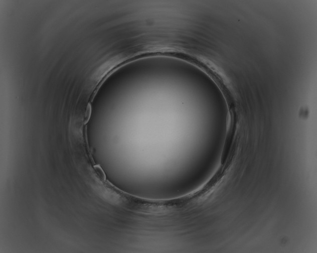 X0000091701273200708241215
