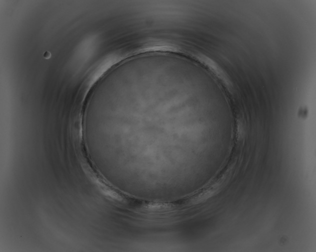 X0000091701274200708241215