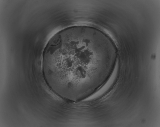 X0000091701275200708241215