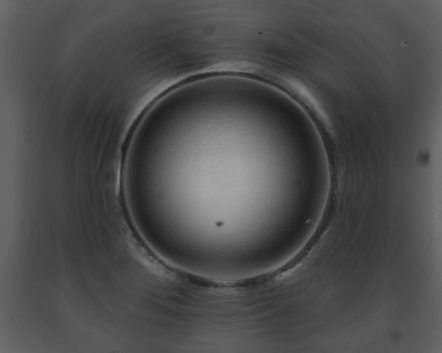 X0000091701276200708241215