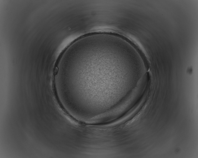 X0000091701277200708241215