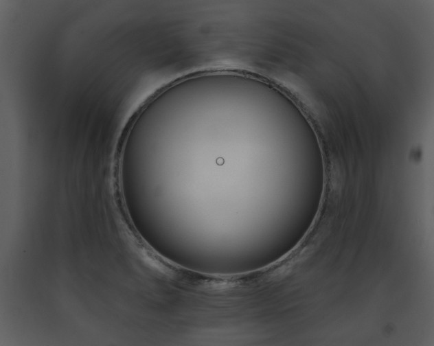 X0000091701278200708241215