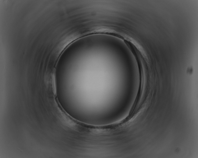 X0000091701281200708241215