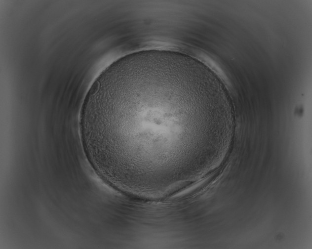 X0000091701283200708241215
