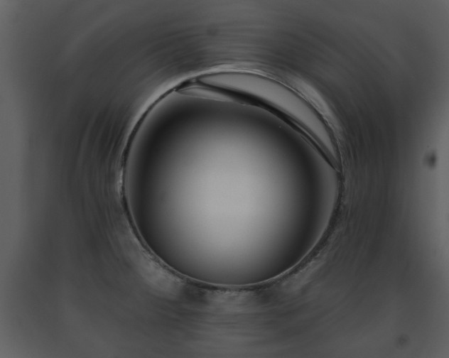 X0000091701284200708241215