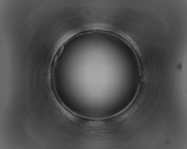 X0000091701285200708241215
