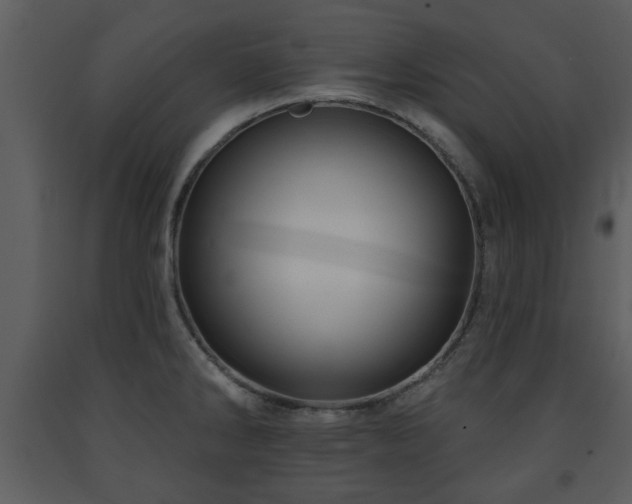 X0000091701286200708241215