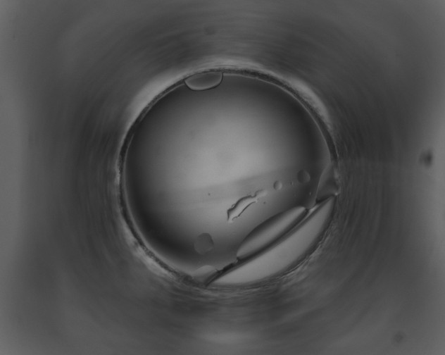 X0000091701287200708241215