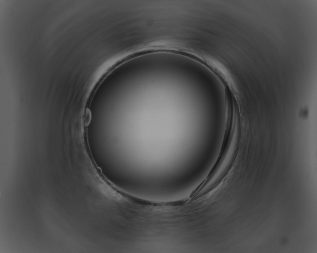X0000091701288200708241215