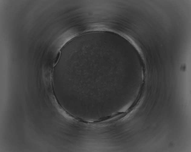 X0000091701289200708241215