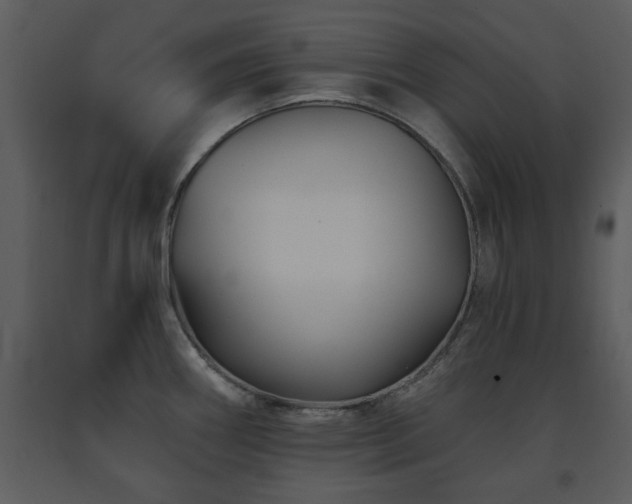 X0000091701290200708241215