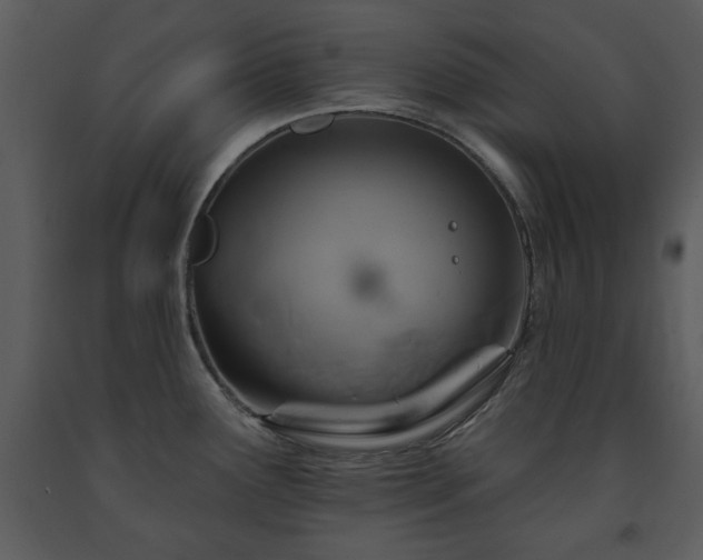 X0000091701291200708241215