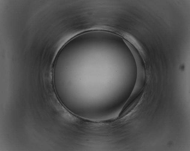 X0000091701292200708241215