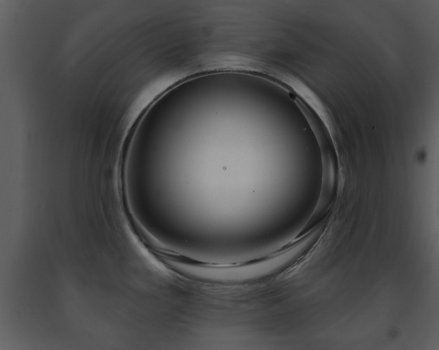 X0000091701293200708241215