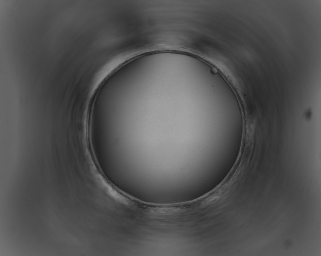 X0000091701294200708241214