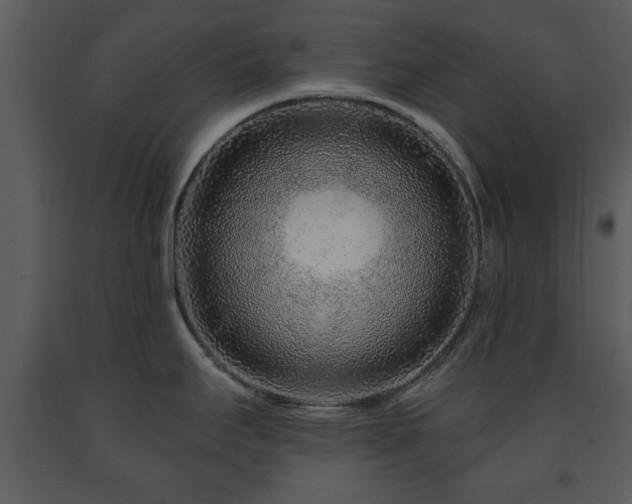 X0000091701295200708241214