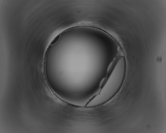 X0000091701296200708241214