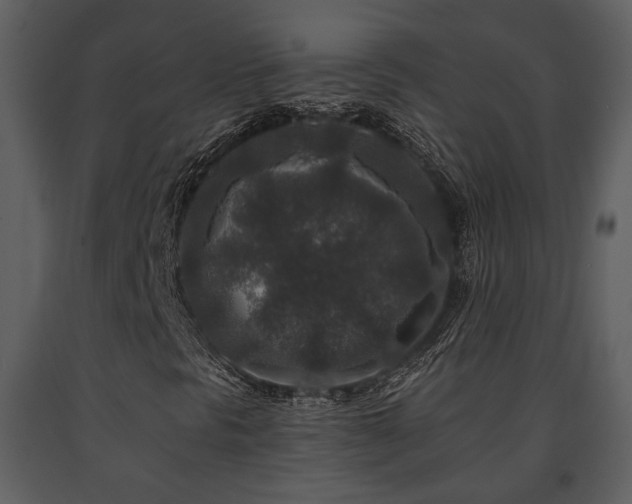 X0000091701297200708241214