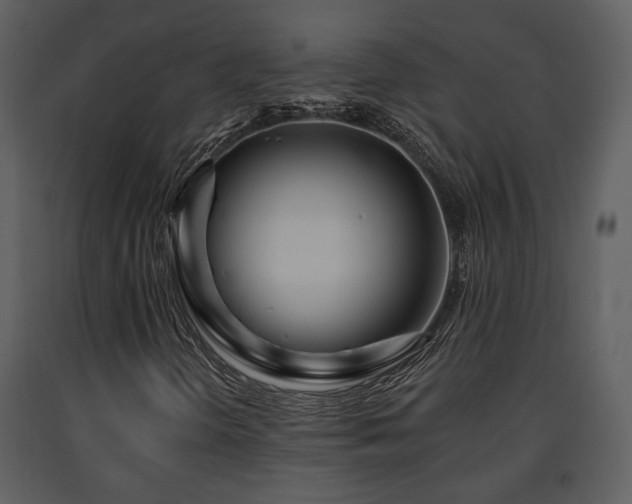X0000091701298200708241214