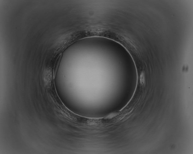 X0000091701299200708241214